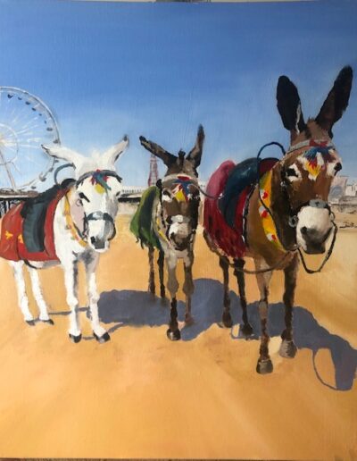 Blackpool donkeys portrait