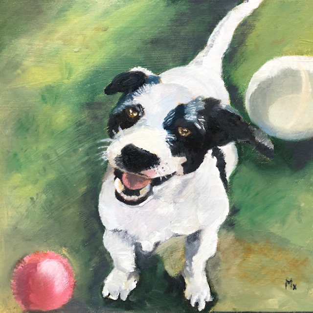 Portrait of Chester Dog